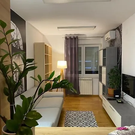 Benvenuti Honey Apartment *