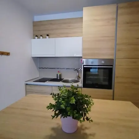 Benvenuti Honey * Zemun