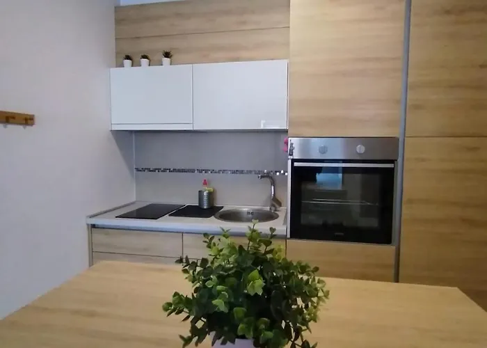 Benvenuti Honey * Zemun